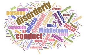 disorderly conduct lawyer middletown nj